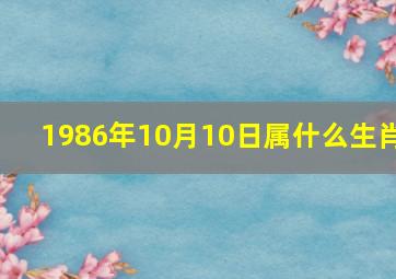 1986年10月10日属什么生肖