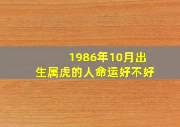 1986年10月出生属虎的人命运好不好