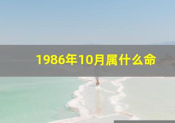 1986年10月属什么命