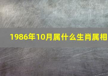 1986年10月属什么生肖属相