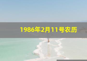 1986年2月11号农历