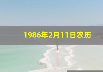 1986年2月11日农历