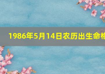 1986年5月14日农历出生命格