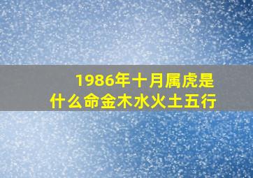 1986年十月属虎是什么命金木水火土五行