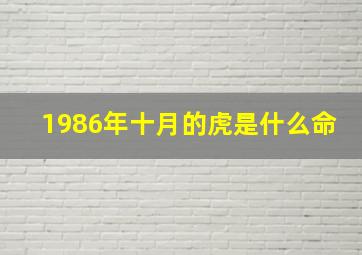 1986年十月的虎是什么命