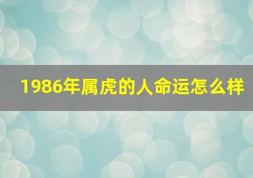 1986年属虎的人命运怎么样