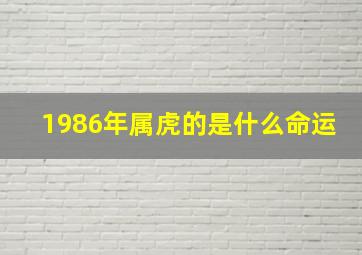 1986年属虎的是什么命运