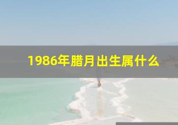 1986年腊月出生属什么