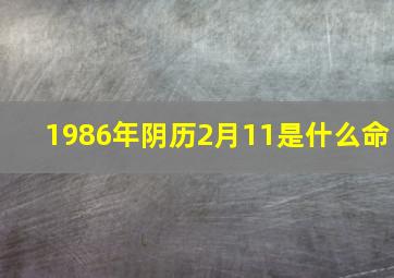 1986年阴历2月11是什么命