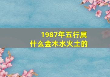 1987年五行属什么金木水火土的