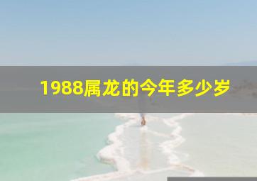 1988属龙的今年多少岁