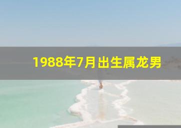 1988年7月出生属龙男