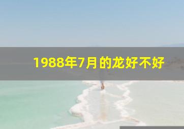 1988年7月的龙好不好