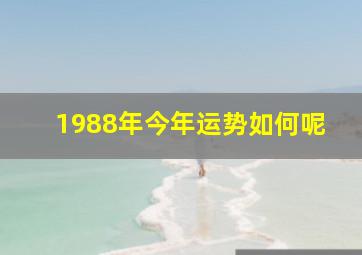 1988年今年运势如何呢