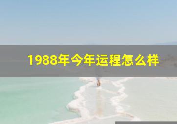 1988年今年运程怎么样