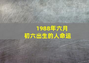 1988年六月初六出生的人命运