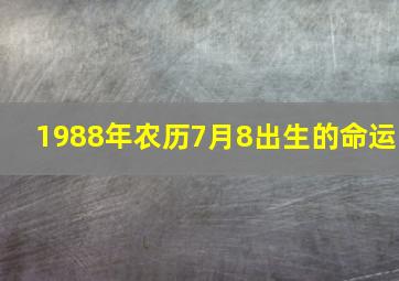 1988年农历7月8出生的命运