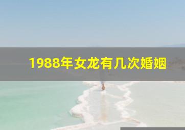 1988年女龙有几次婚姻