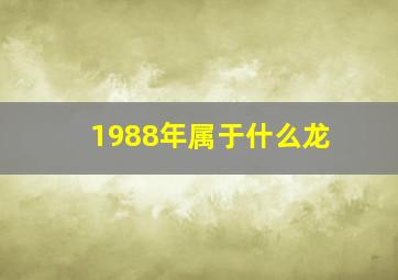 1988年属于什么龙