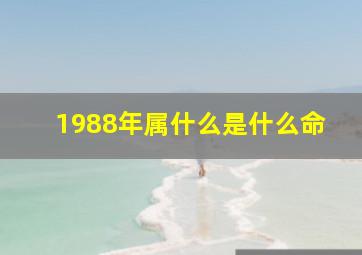 1988年属什么是什么命