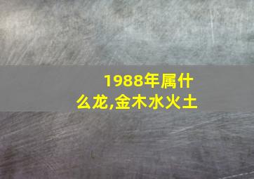 1988年属什么龙,金木水火土