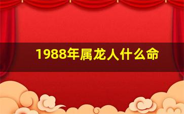 1988年属龙人什么命