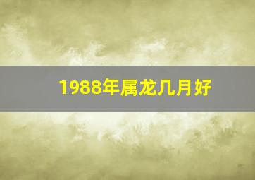 1988年属龙几月好