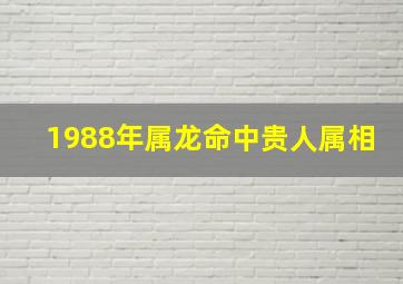 1988年属龙命中贵人属相