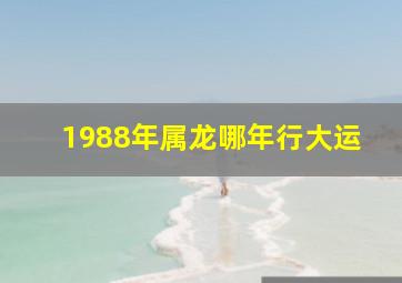 1988年属龙哪年行大运