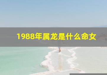 1988年属龙是什么命女