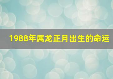 1988年属龙正月出生的命运