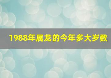 1988年属龙的今年多大岁数