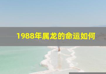 1988年属龙的命运如何