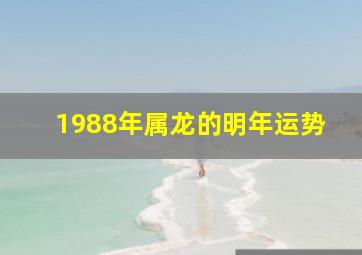 1988年属龙的明年运势