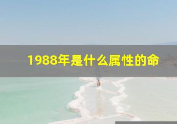 1988年是什么属性的命