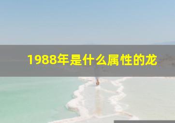 1988年是什么属性的龙