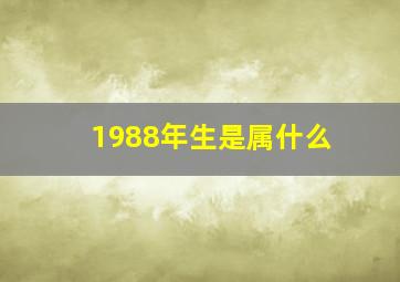 1988年生是属什么