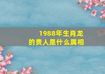 1988年生肖龙的贵人是什么属相