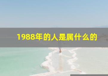 1988年的人是属什么的