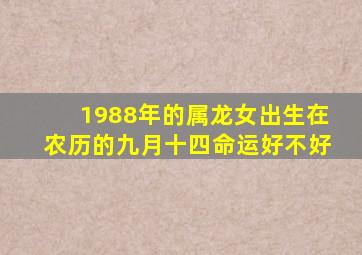 1988年的属龙女出生在农历的九月十四命运好不好