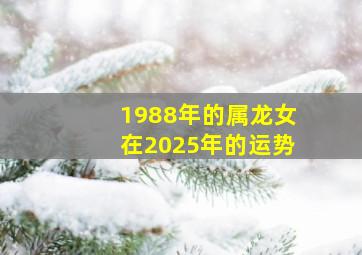 1988年的属龙女在2025年的运势