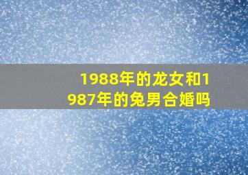 1988年的龙女和1987年的兔男合婚吗