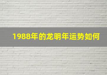 1988年的龙明年运势如何