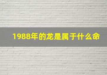 1988年的龙是属于什么命