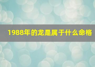 1988年的龙是属于什么命格