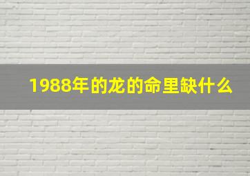 1988年的龙的命里缺什么