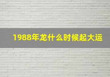 1988年龙什么时候起大运