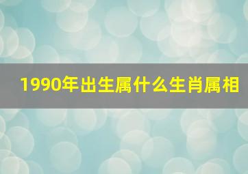 1990年出生属什么生肖属相