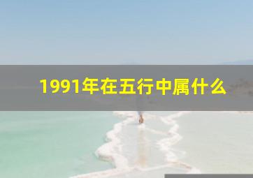 1991年在五行中属什么