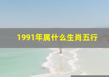 1991年属什么生肖五行